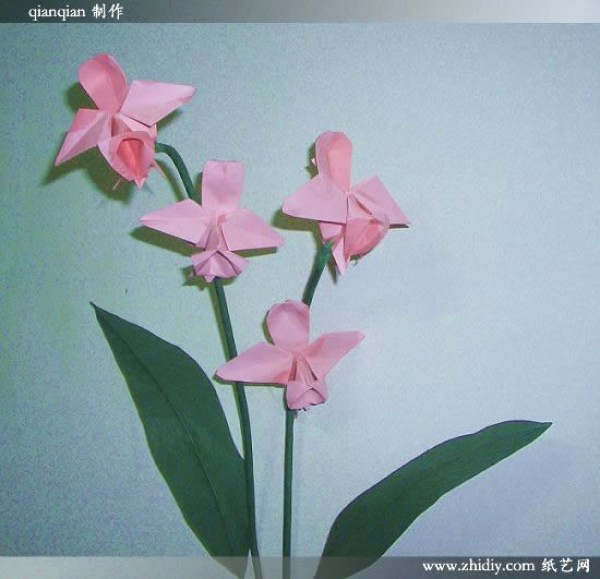 Origami orchid by qianqian