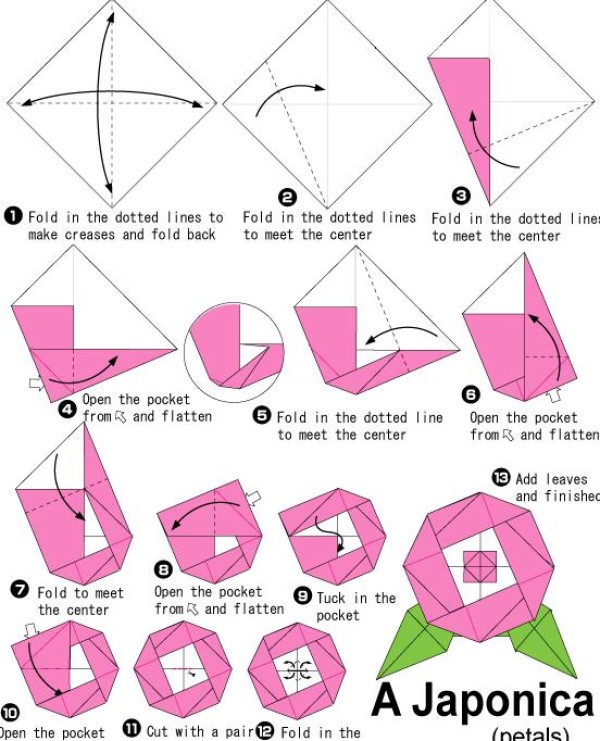 Camellia simple origami tutorial for children