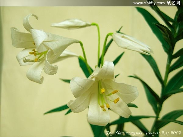 Work by Satsuki Shimizu—Origami Easter Lily by Origami