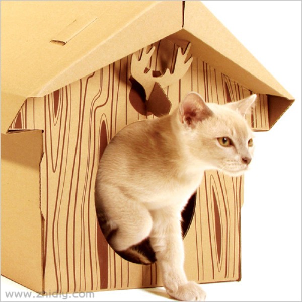 Cats house made of cardboard