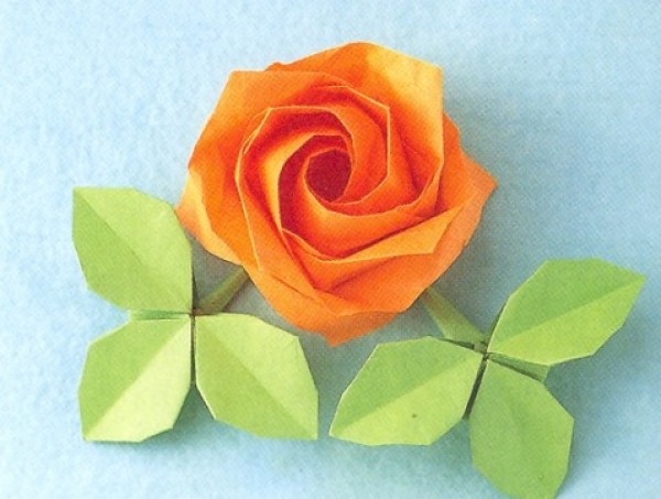 Origami Flower Origami Rose Drawing Tutorial [Plant Origami Atlas]