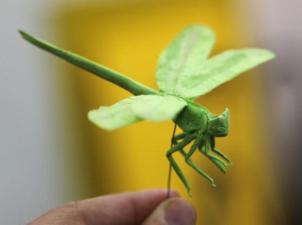 Insect Origami - Illustrated Tutorial for Origami Dragonfly