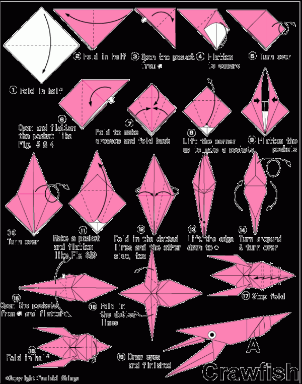 Handmade origami crayfish childrens origami tutorial