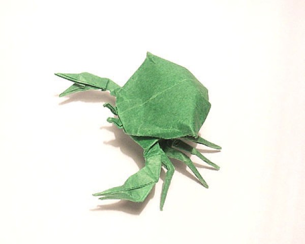 Origami animal appreciation