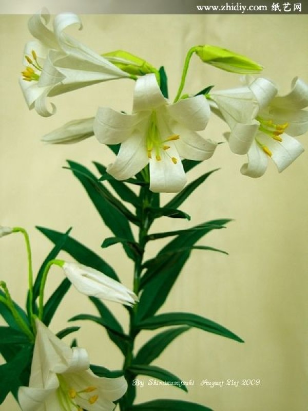 Work by Satsuki Shimizu—Origami Easter Lily by Origami