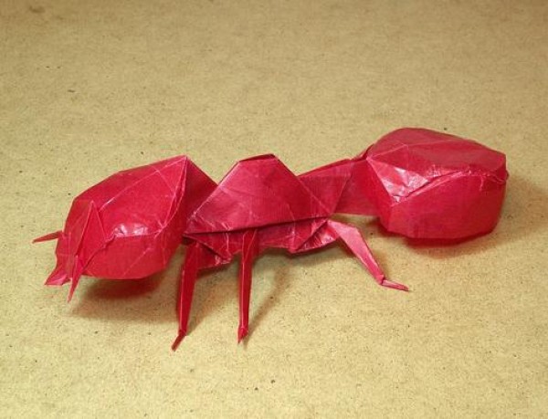 Insect Origami - Ant Origami Illustrated Tutorial