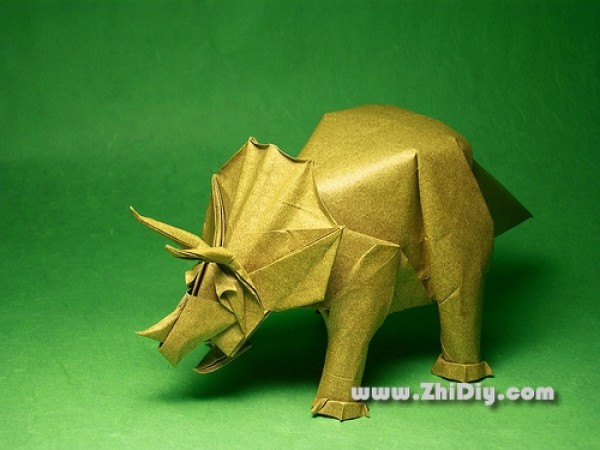 CP origami appreciation