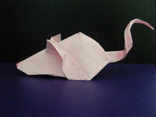 Fun origami mouse origami tutorial—Rikki Donachie