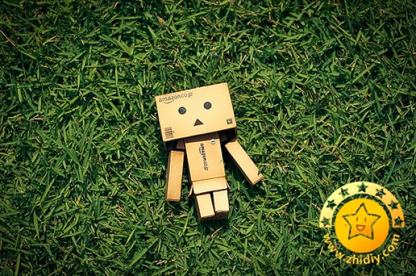 Cardboard box doll Danbo