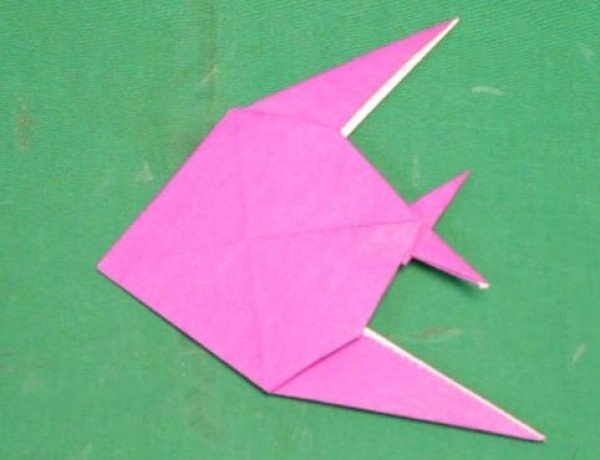 Childrens Origami Encyclopedia - Simple Fish Origami Video Tutorial