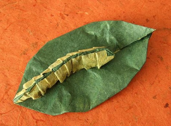 Origami tutorial for caterpillars on leaves—Eugeny Fridrikh