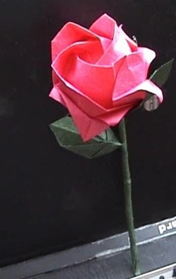 Illustration of how to fold a complete origami rose [Complete origami rose, stems and leaves]