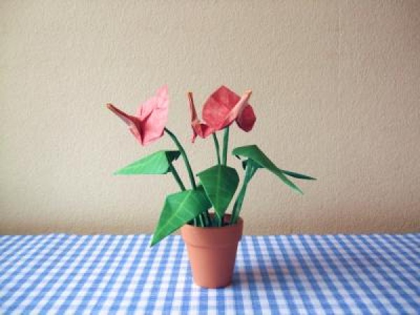 Origami Flower Complete Illustration - Anthurium Origami Flower Handmade Tutorial