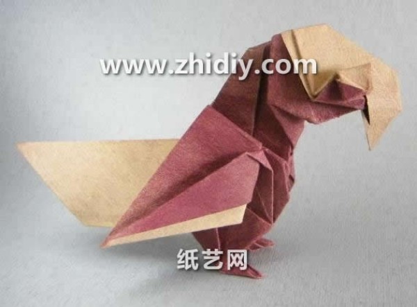 Origami Encyclopedia - Origami Parrot Handmade Origami Video Tutorial