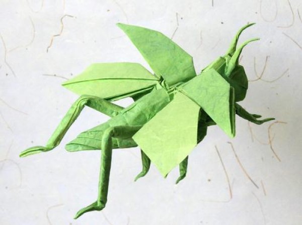 Origami Insects Illustrated Tutorial: How to Fold Origami Locust