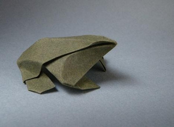 Origami Toad Origami Drawing Tutorial [Animal Origami Atlas]