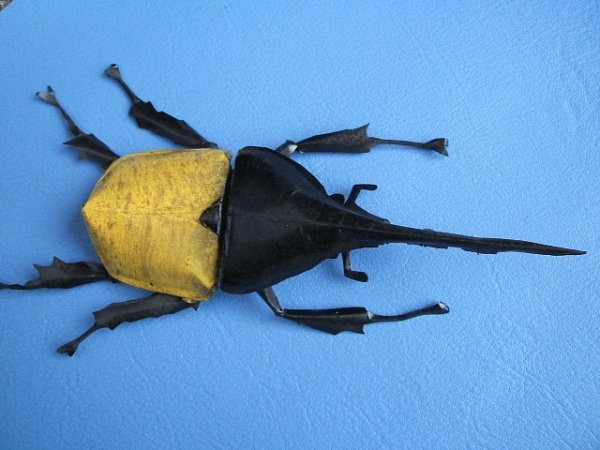 Papercraft insects! Difficult to tell true from false