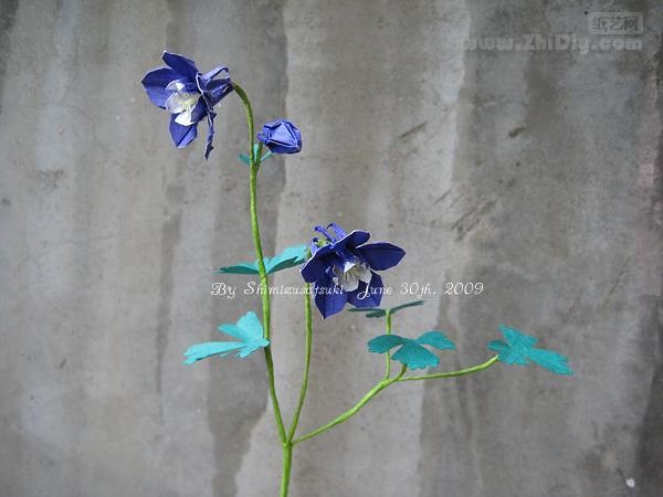 Origami Miyama Ramie Ring·Fan Columbine by origami—Shimizu May