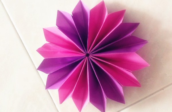 Origami Flower Complete Illustrations Simple Origami Flower Combination Origami Illustration Tutorial