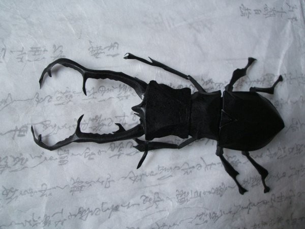 Papercraft insects! Difficult to tell true from false