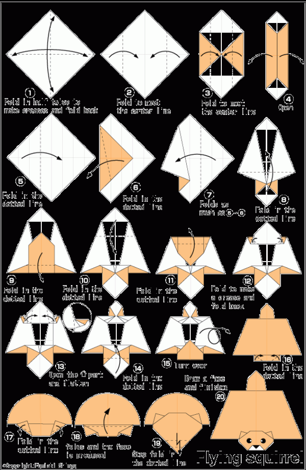 Simple origami flying squirrel origami tutorial for children