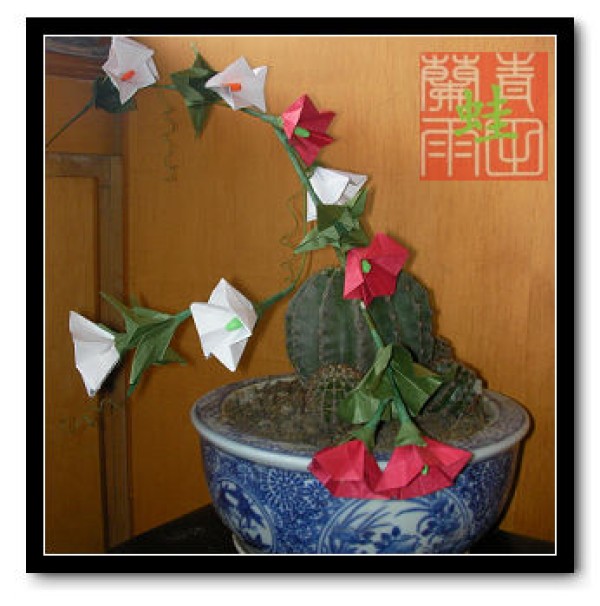 Origami flower appreciation of Qingtian orchid tree frog