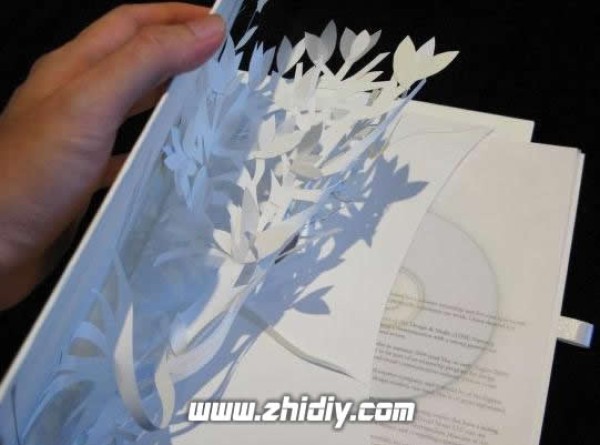 Paper art design by Changzhi Lee