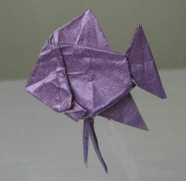 Handmade Origami Angelfish Origami Complete Illustrated Tutorial