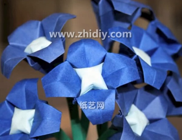 Origami Flower Forget-Me-Not Origami Video Tutorial