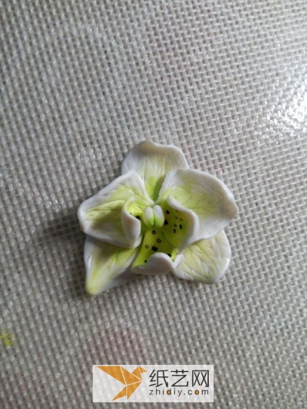 As a Valentine’s Day gift, I used ultra-light clay to make phalaenopsis orchid earrings. They are so beautiful!