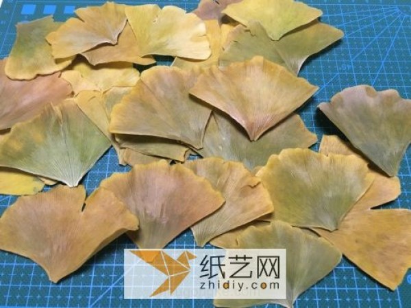 The smell of autumn: Dried roses made from waste ginkgo leaves