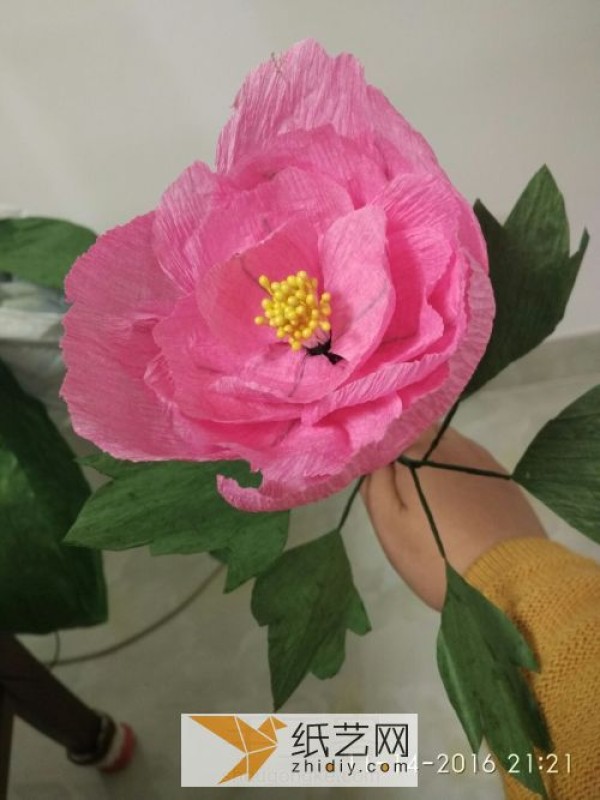 Use crepe paper to make peonies. Creative handmade paper art illustration tutorial