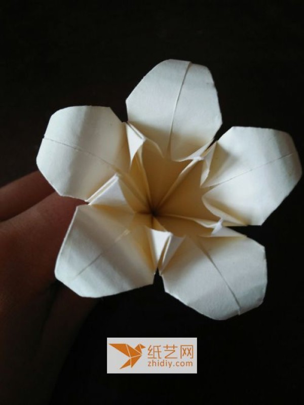 Simple tutorial for five-petal origami lily flower