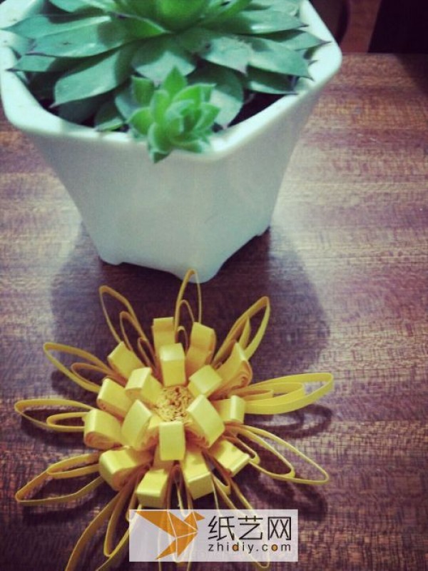 Tutorial on making three-dimensional paper-quilled chrysanthemums