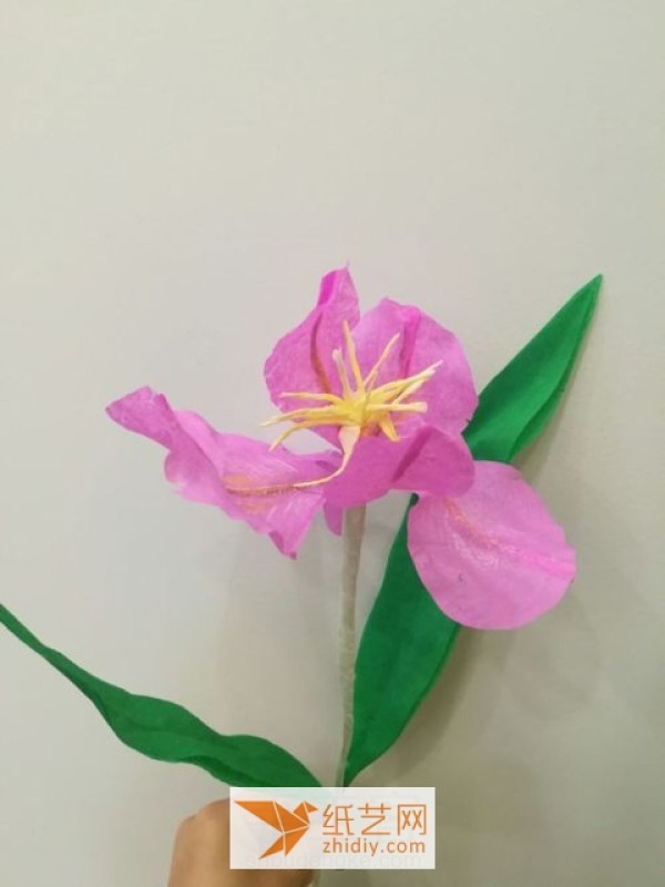 Tutorial illustration of paper art iris flower made from crepe paper