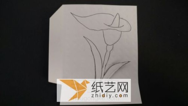 Paper-cut calla lily as a Teacher’s Day gift