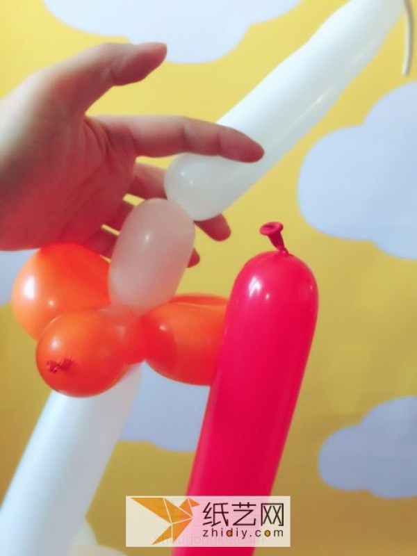 Steps to make a chicken from a magic balloon, a lucky gift for the New Year