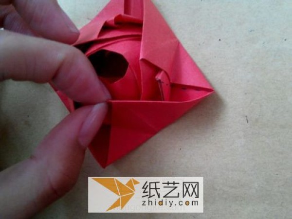 Real photo tutorial teaches you step by step how to fold origami roses