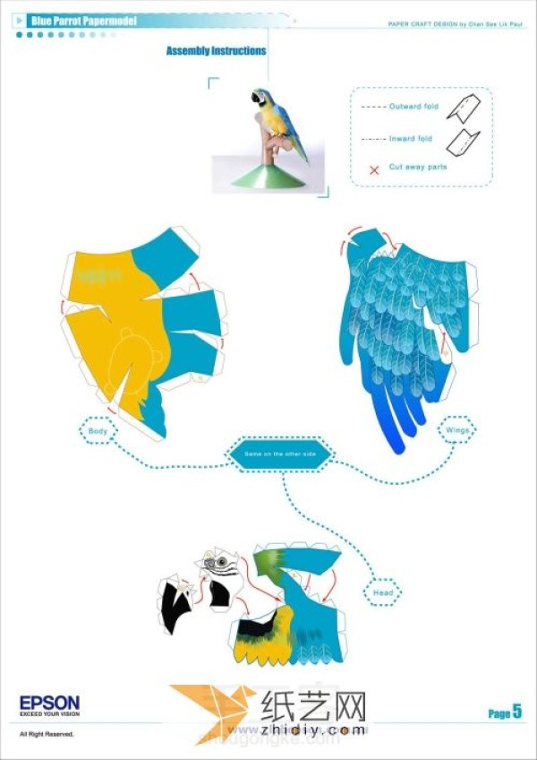 Realistic macaw paper model