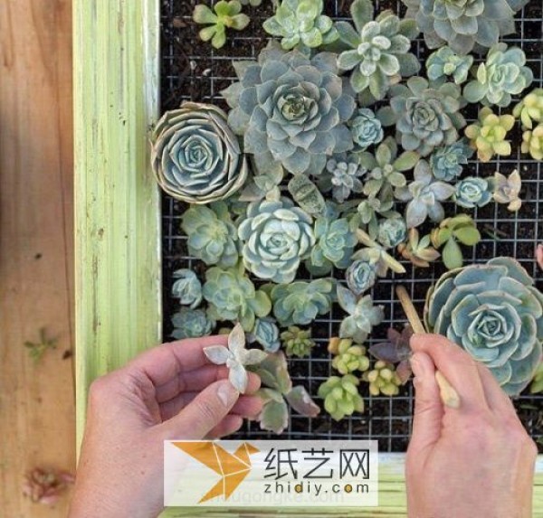 Use waste materials to turn waste into treasures and make beautiful succulent photo frames as Teacher’s Day gifts