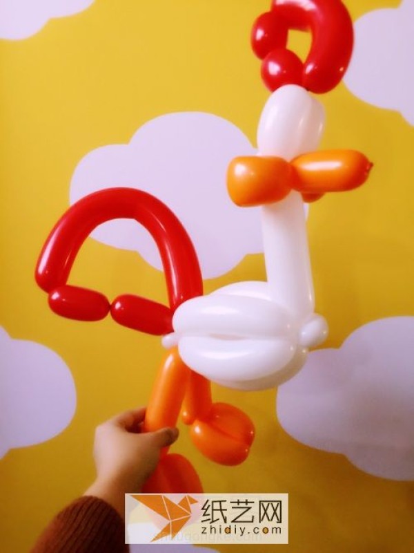 Steps to make a chicken from a magic balloon, a lucky and lucky New Year gift