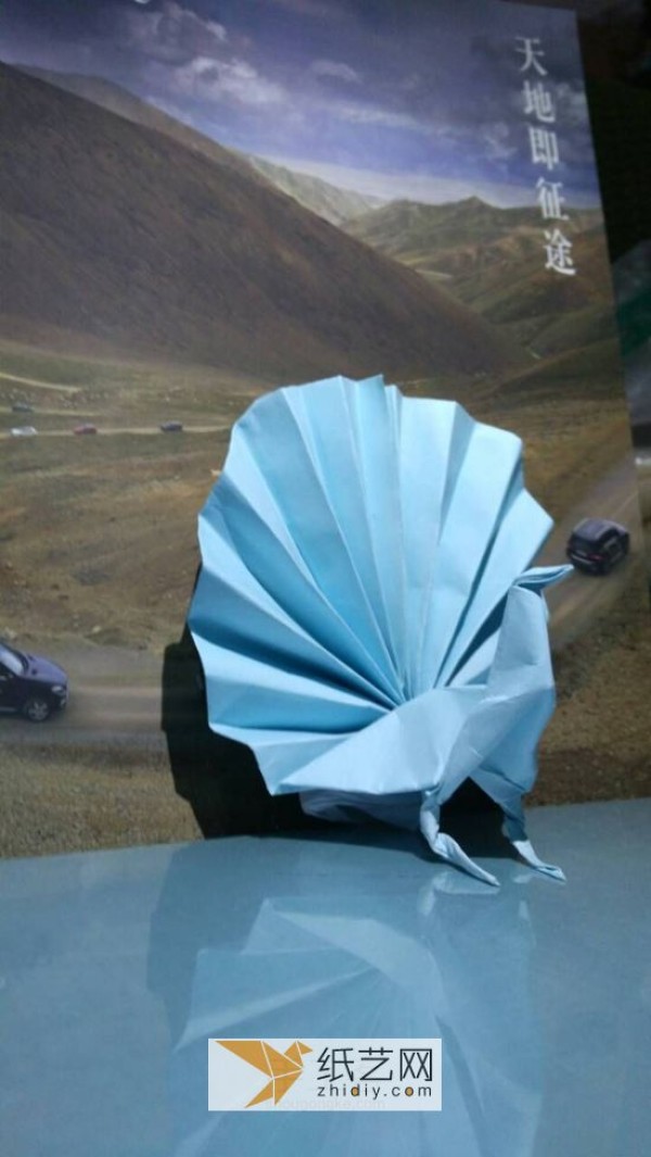 An origami peacock with its tail open