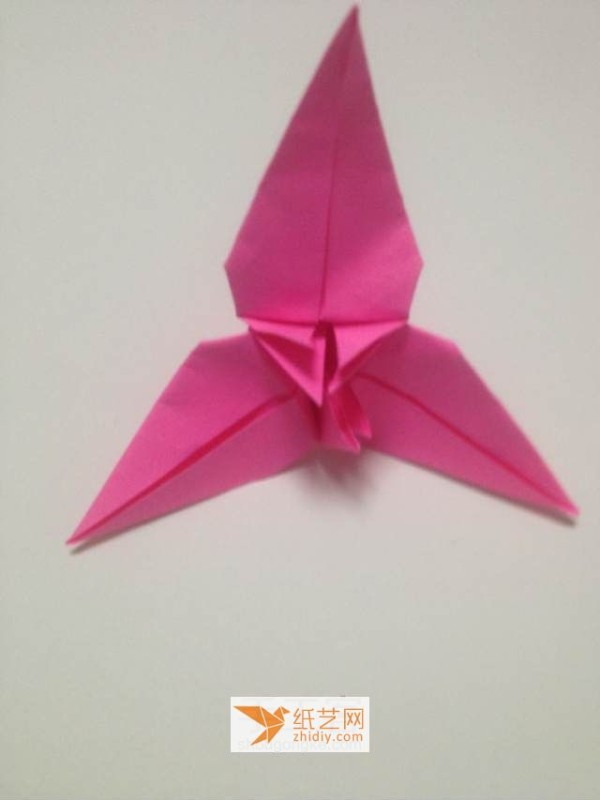 A real-life picture tutorial of an origami flower without a name