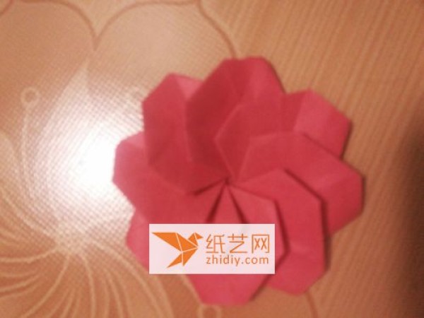 How to make origami camellias