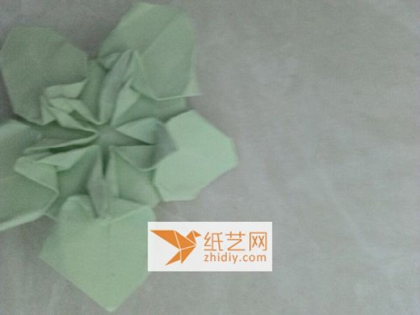 Detailed picture tutorial for complex origami cherry blossoms (translated)