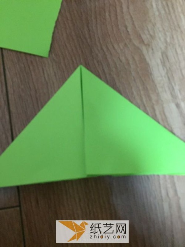 Origami Cicada Spreading Wings Childrens Craft Summer is Coming