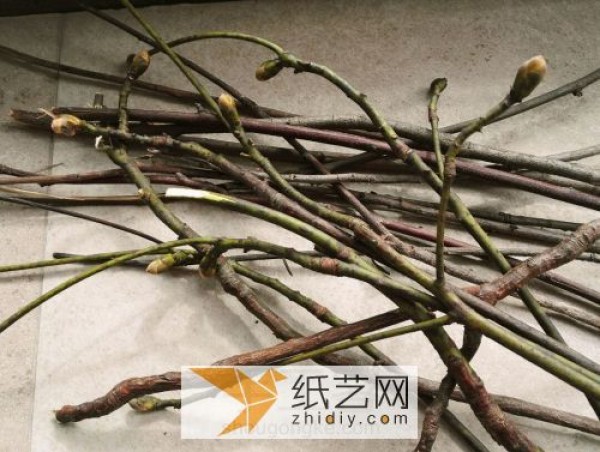 Turn dead branches into treasures to make modern decorations to decorate the room during the New Year