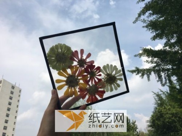 As a Teachers Day gift, you can turn waste into treasure and make decorative paintings of plant specimens.