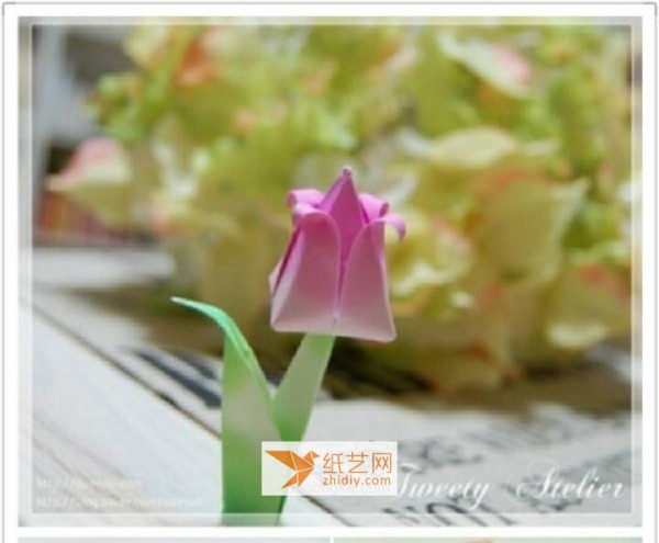 How to make a beautiful tulip with origami. Illustrated tutorial teaches you how to fold tulip flowers.