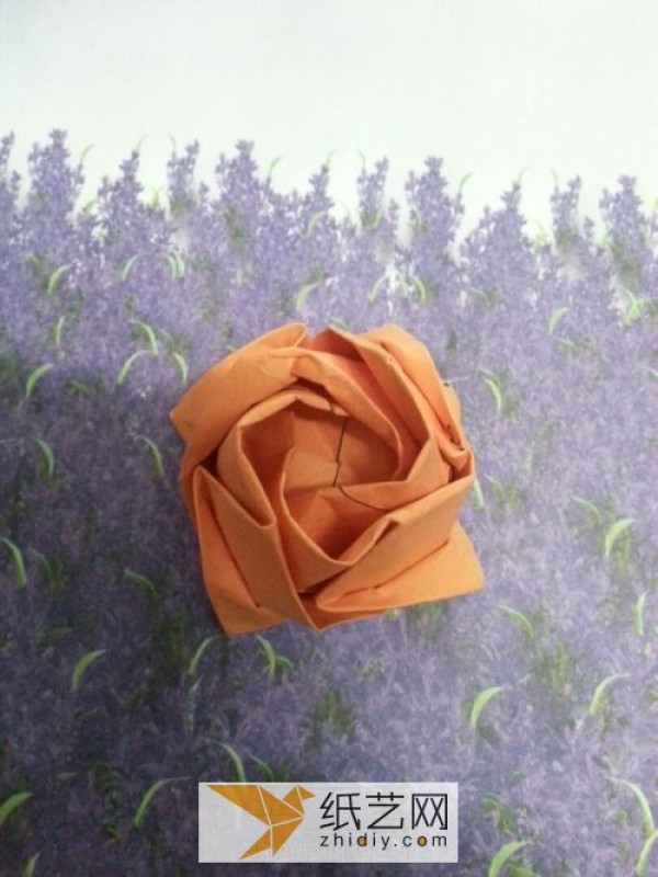 A comprehensive guide to making paper roses - Miyazaki Rose Illustrations and Step-by-Step Tutorials